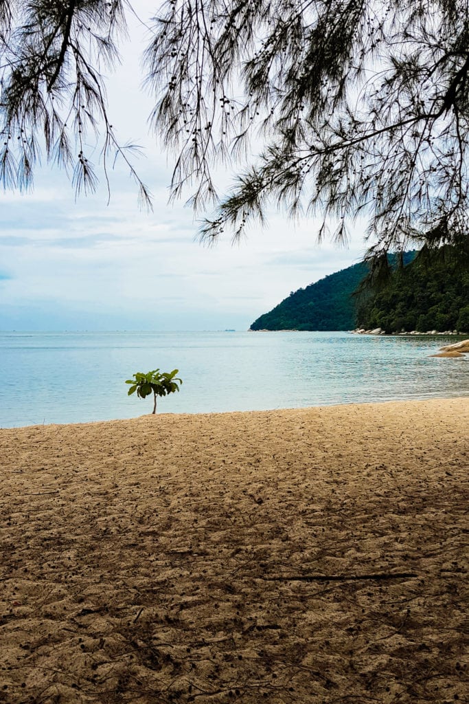 penang national park